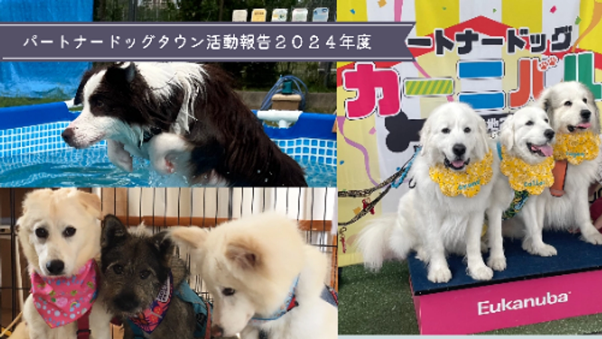 2024年度前期後期活動報告