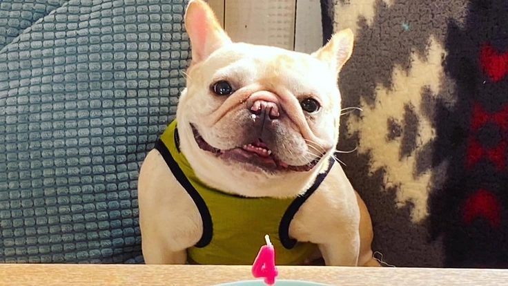 呼吸ができなくなる残酷な病から救える手術代のサポートお願いします！