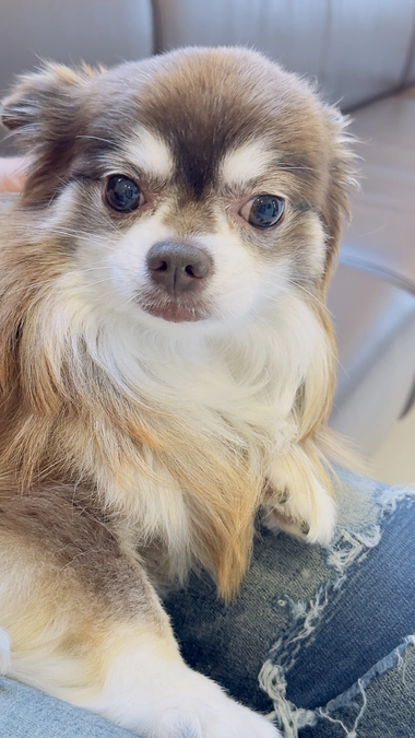雨にも風にも台風にも負けず１ヶ月ぶりの検査に行ってきました💦