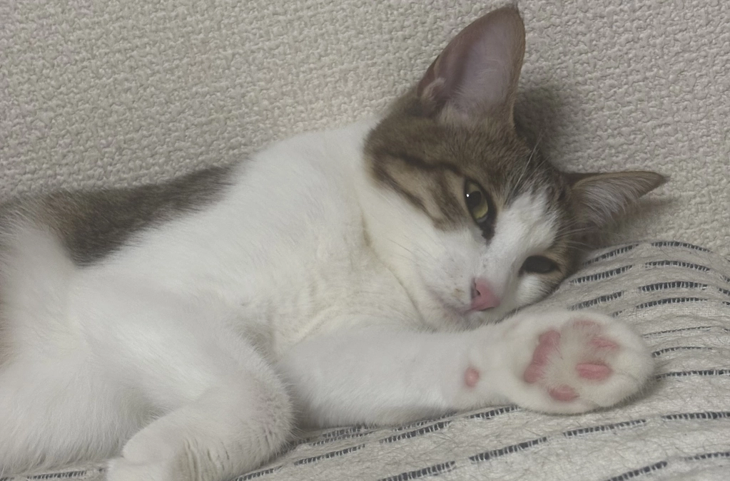 投薬69日目のご報告