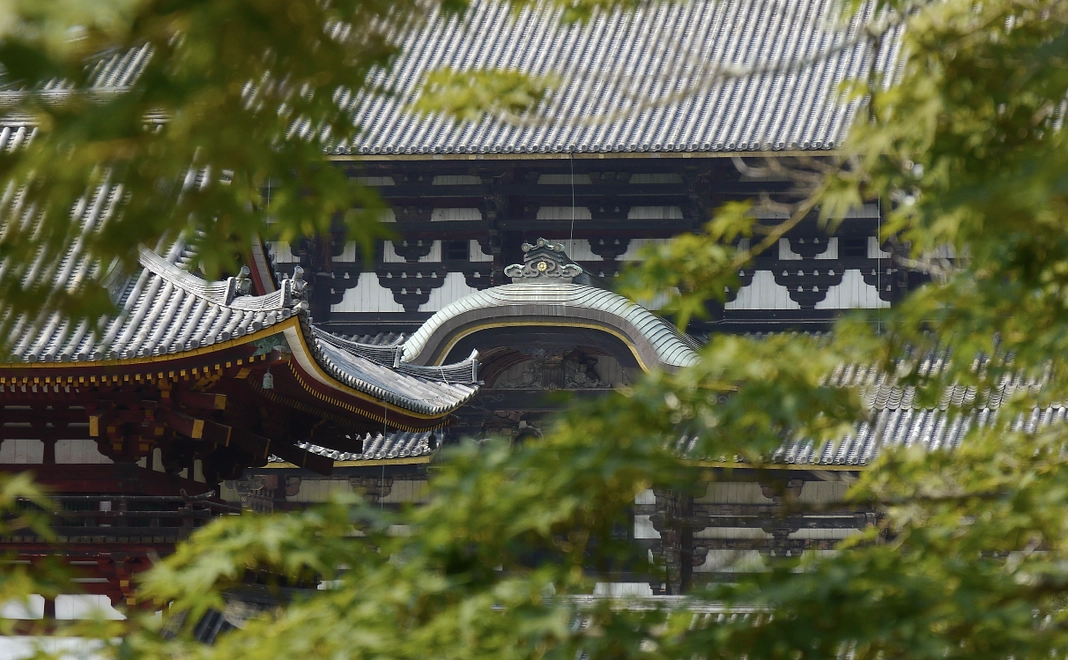 ガチで獣医師になれよ！期待してるよ！支援