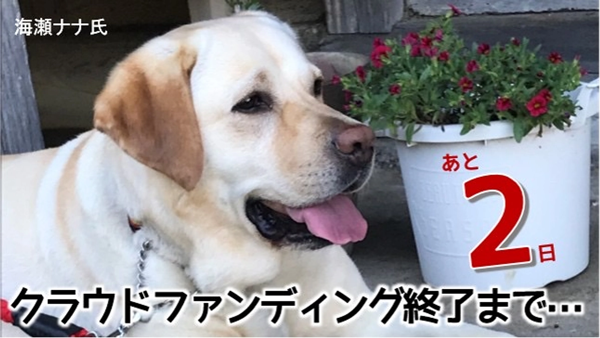 終了日まで残り2日となりました！