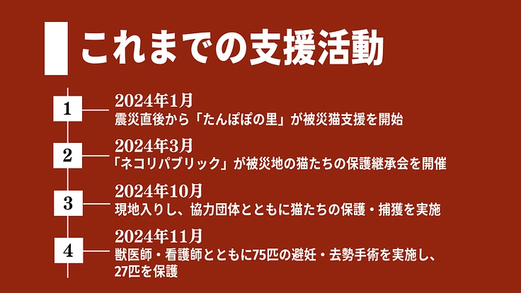 【緊急支援】能登半島地震の被災猫を救うため、移動手術車を作りたい！ 4枚目