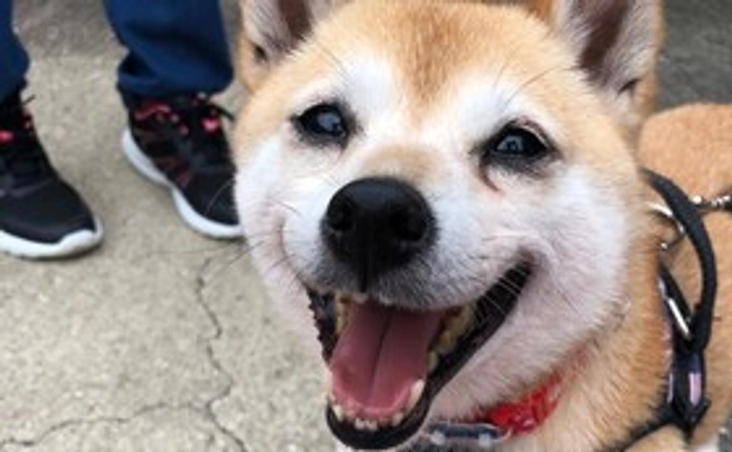 3千円｜応援コース