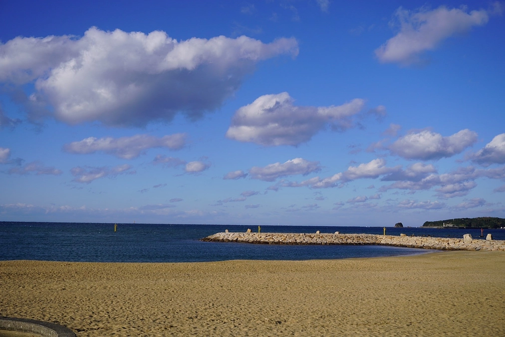 プロジェクトスタート！