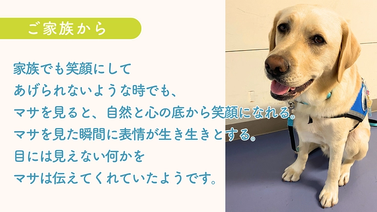 入院する子どもたちを笑顔に!ファシリティドッグ育成基金2024 8枚目