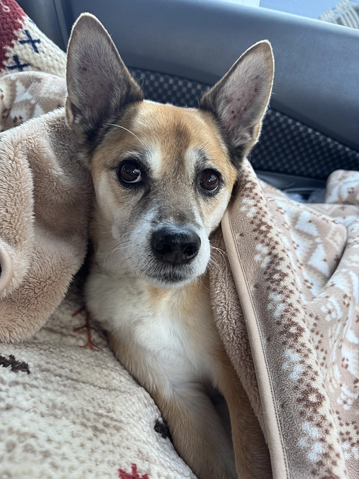 12/12  ☢️放射線治療9回目☢️