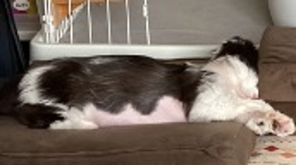 11/9のテオくんの様子