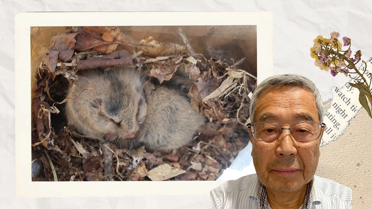 📣 応援メッセージのご紹介 #8 「下泉和也様」