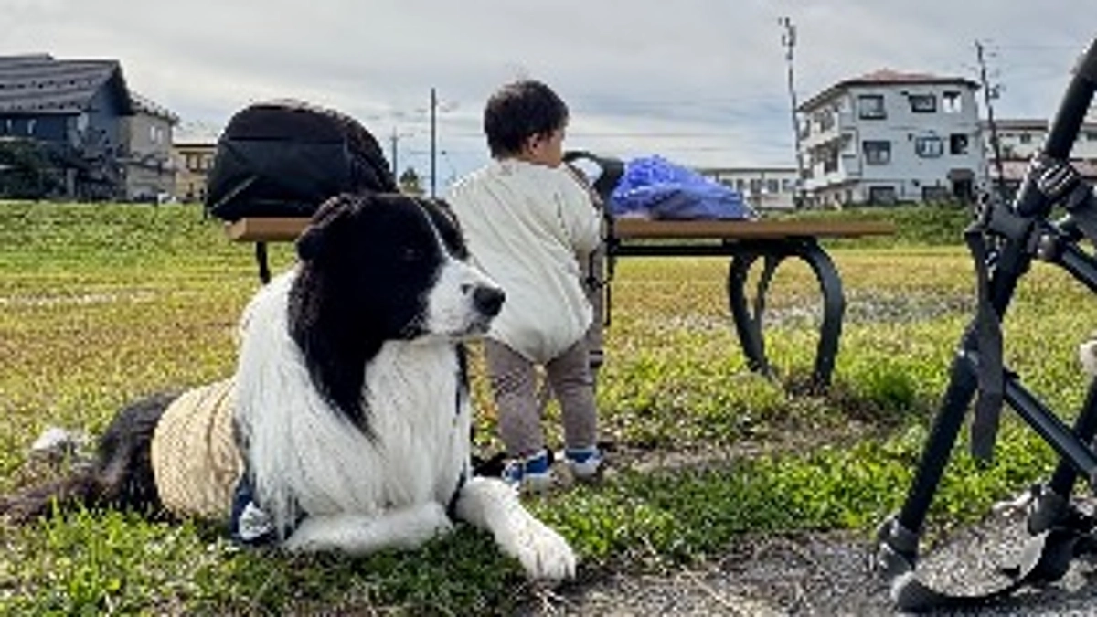 放射線治療の成果と新たな転移