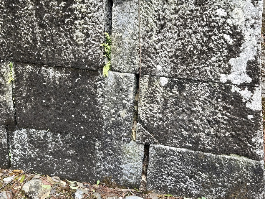 プロジェクト立ち上げのきっかけ