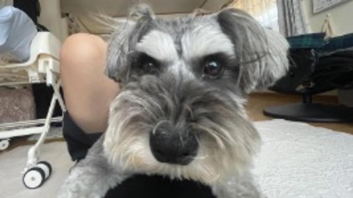 水虫が治らない😭