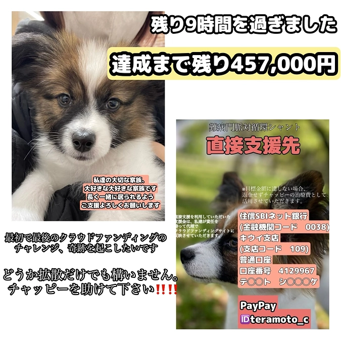 残り9時間を過ぎました