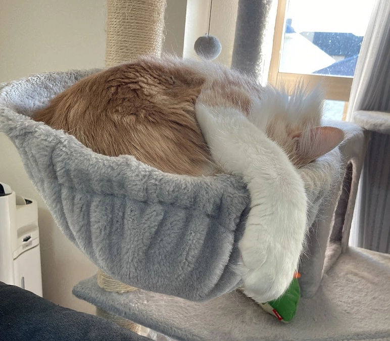 1/19経過観察65日目