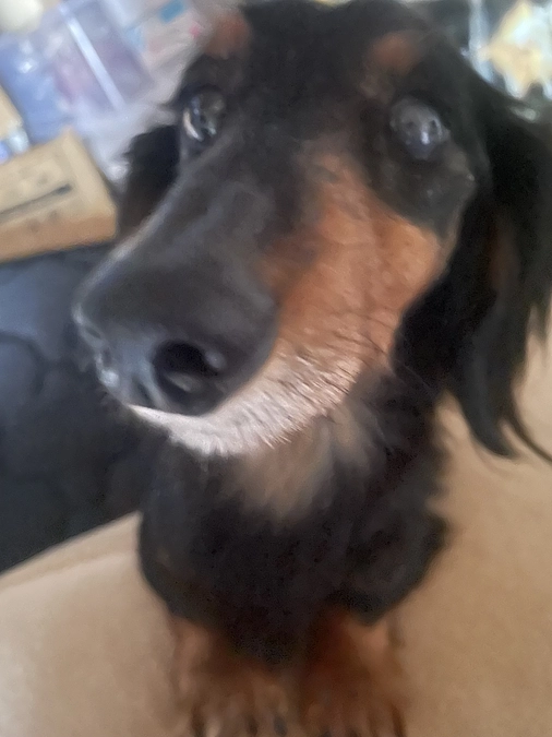 ご無沙汰しております