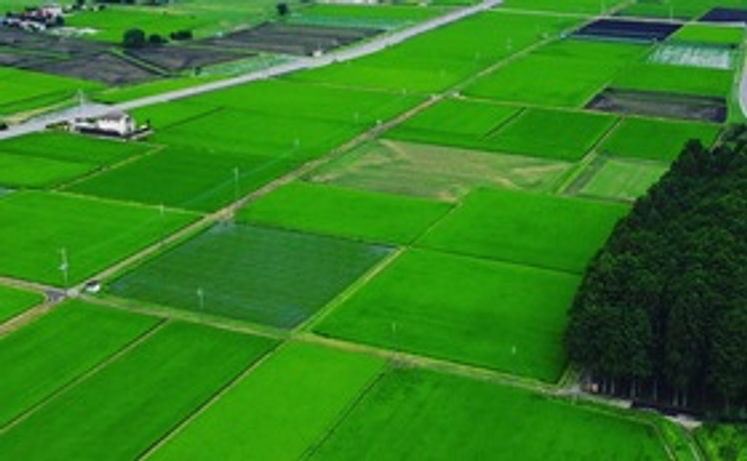 （豪華なリターンは不要な方向け/5千円）　応援！