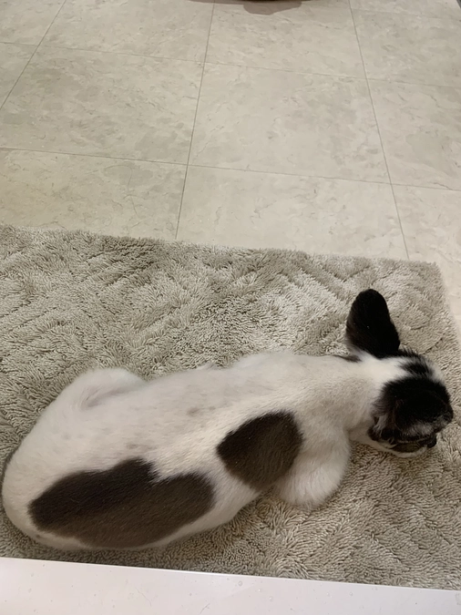 梅雨入りしました☔️