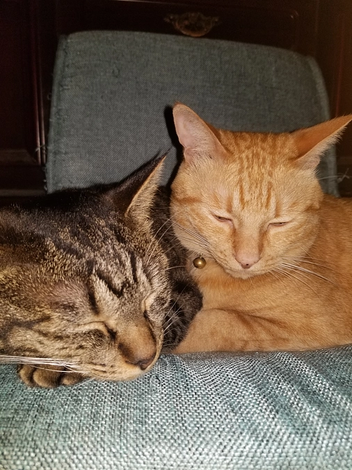 ご無沙汰してます。