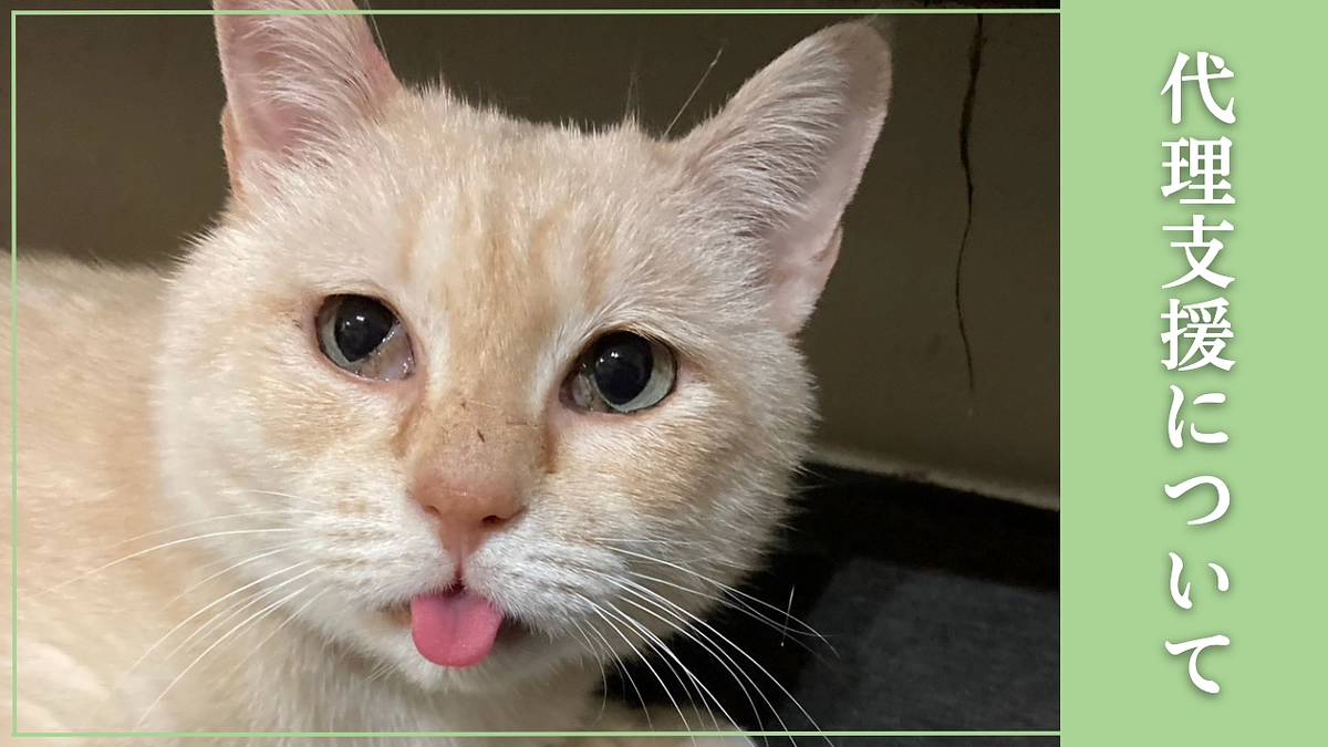 代理支援について 〜インターネットでのご支援が難しい方へ〜