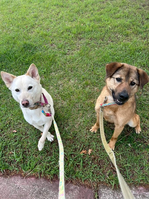 【ご報告とお礼✨】