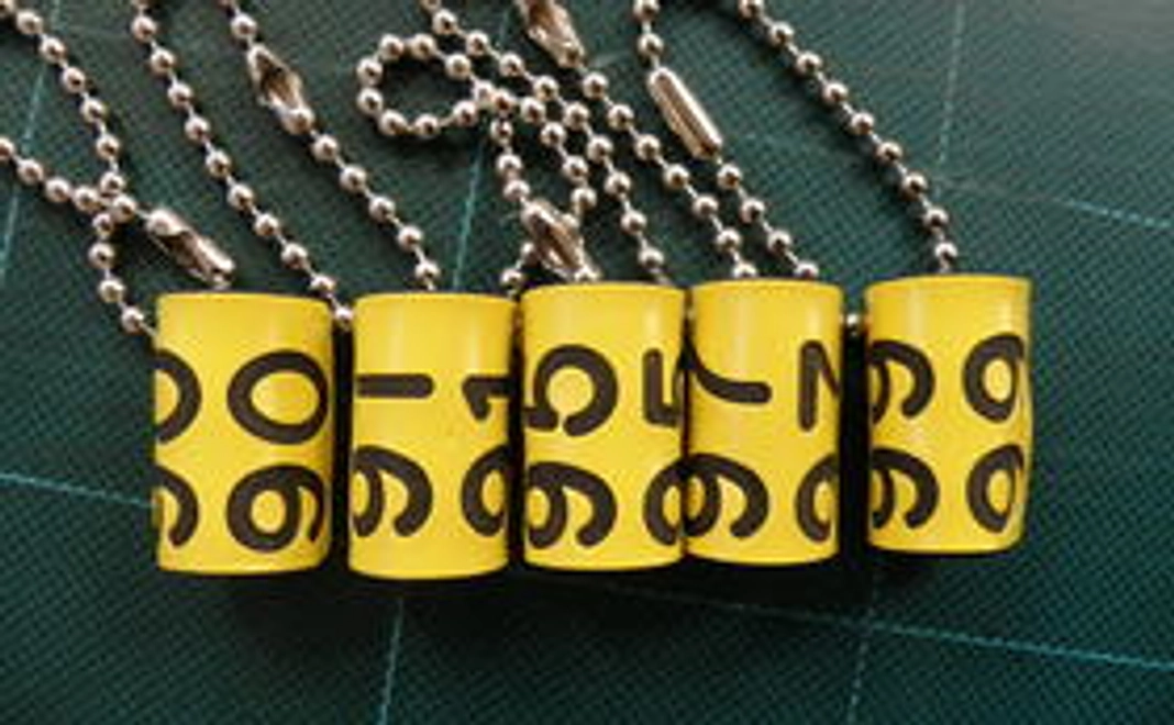 ★コクガンの里親100名募集中★