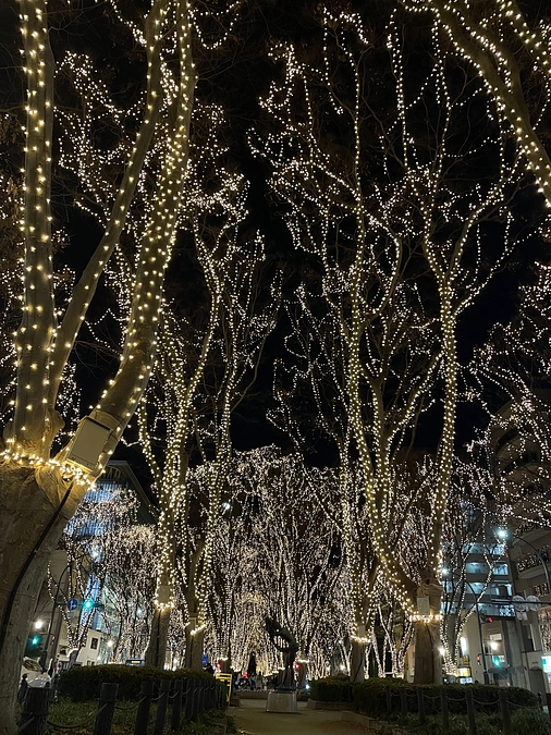 【クラウドファンディングの御礼】