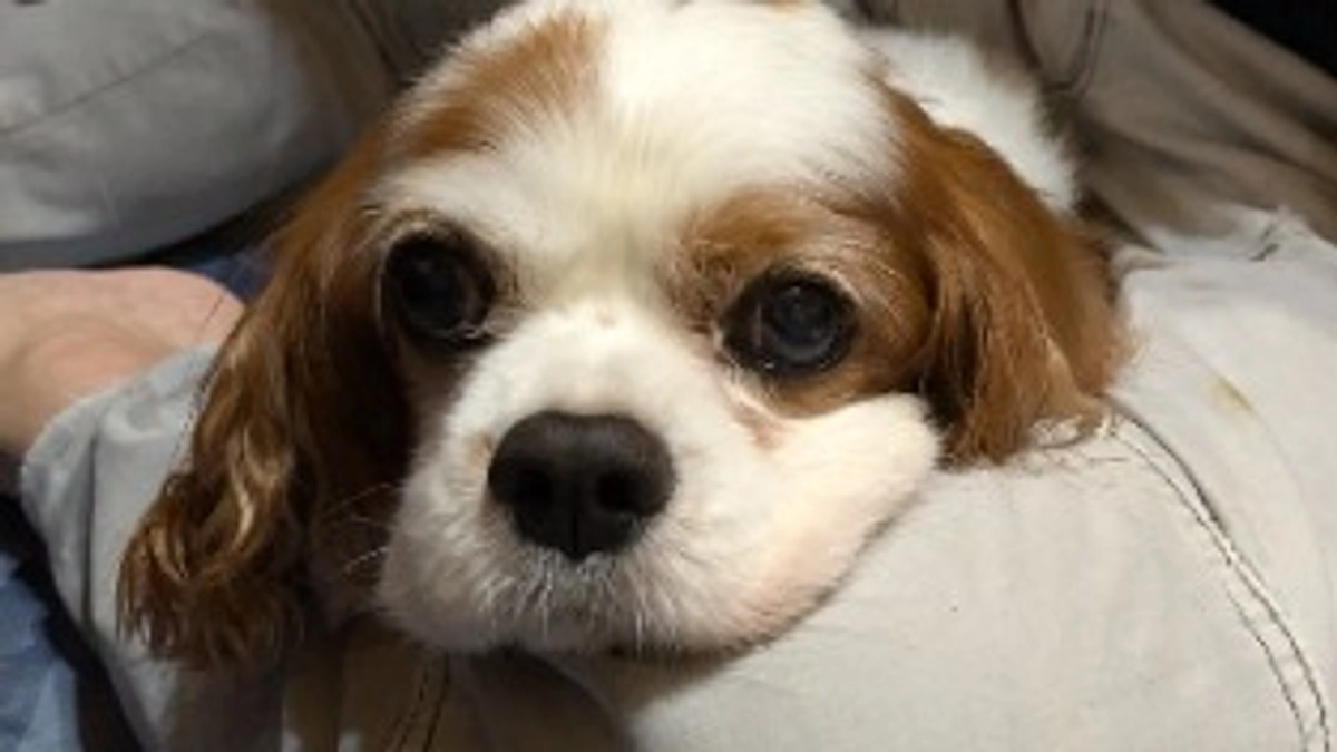 ご支援募集残り3日となりました🙇‍♀️