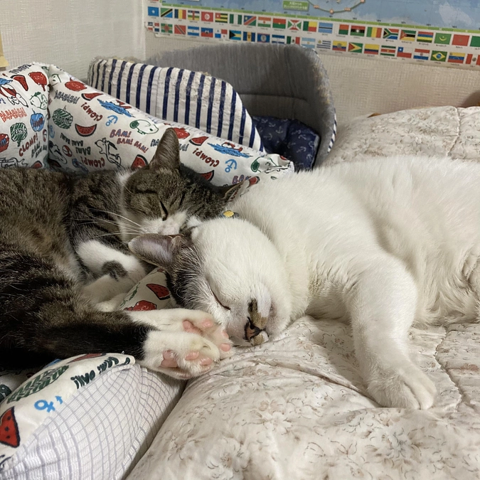 9月になりました…