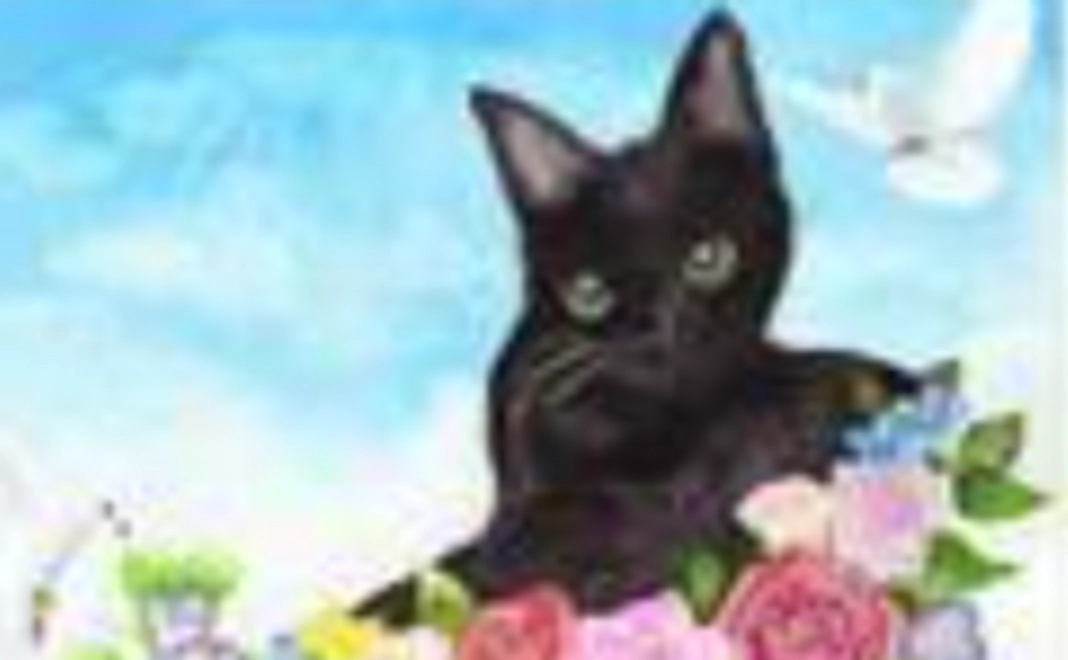 ＜リターン不要の方向け＞イヴに光を応援5,000円コース