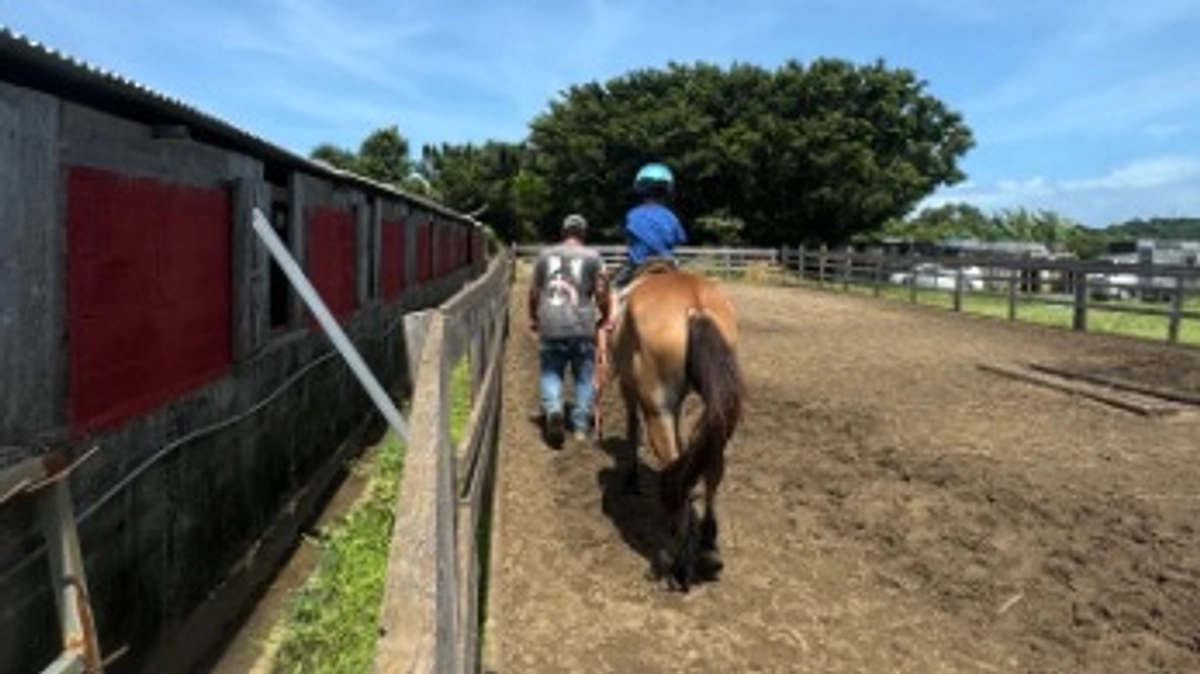 土曜日は牧場体験の日！