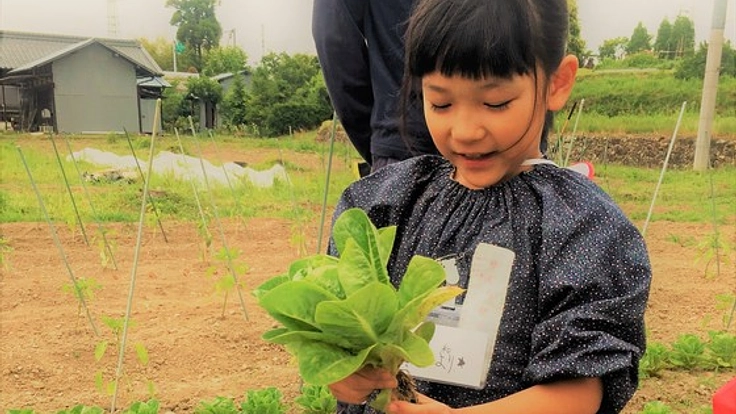 子供達が育てた野菜を子供達自身の手で販売する拠点を作りたい!