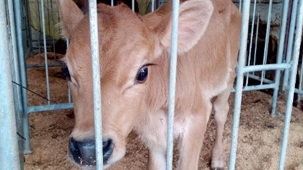 お待たせしました