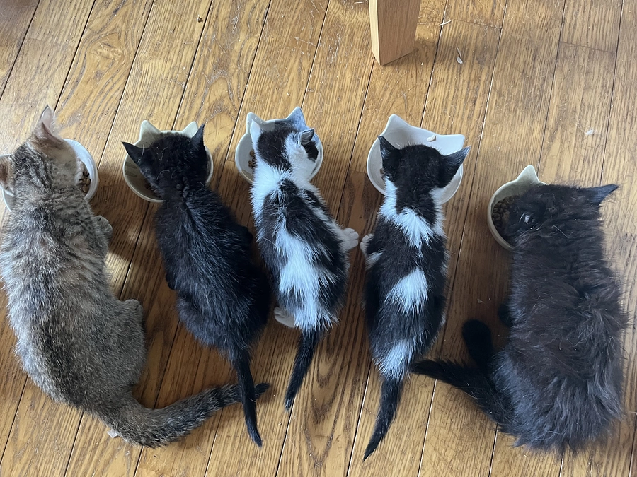 【あと13日】26日目の朝