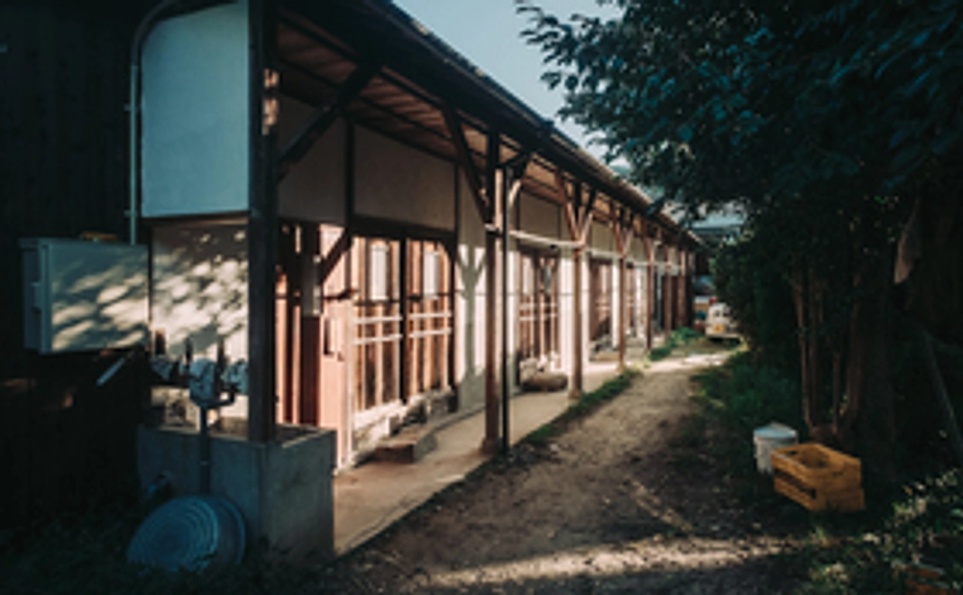 まめなでくらす｜1日