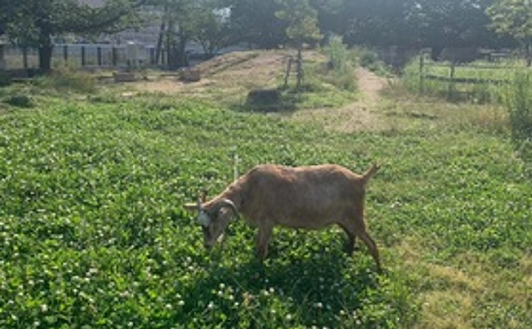 5000円コース（リターン不要）