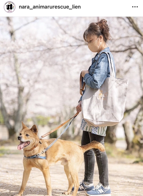 Naraアニマルレスキューリアン代表様からの応援メッセージ