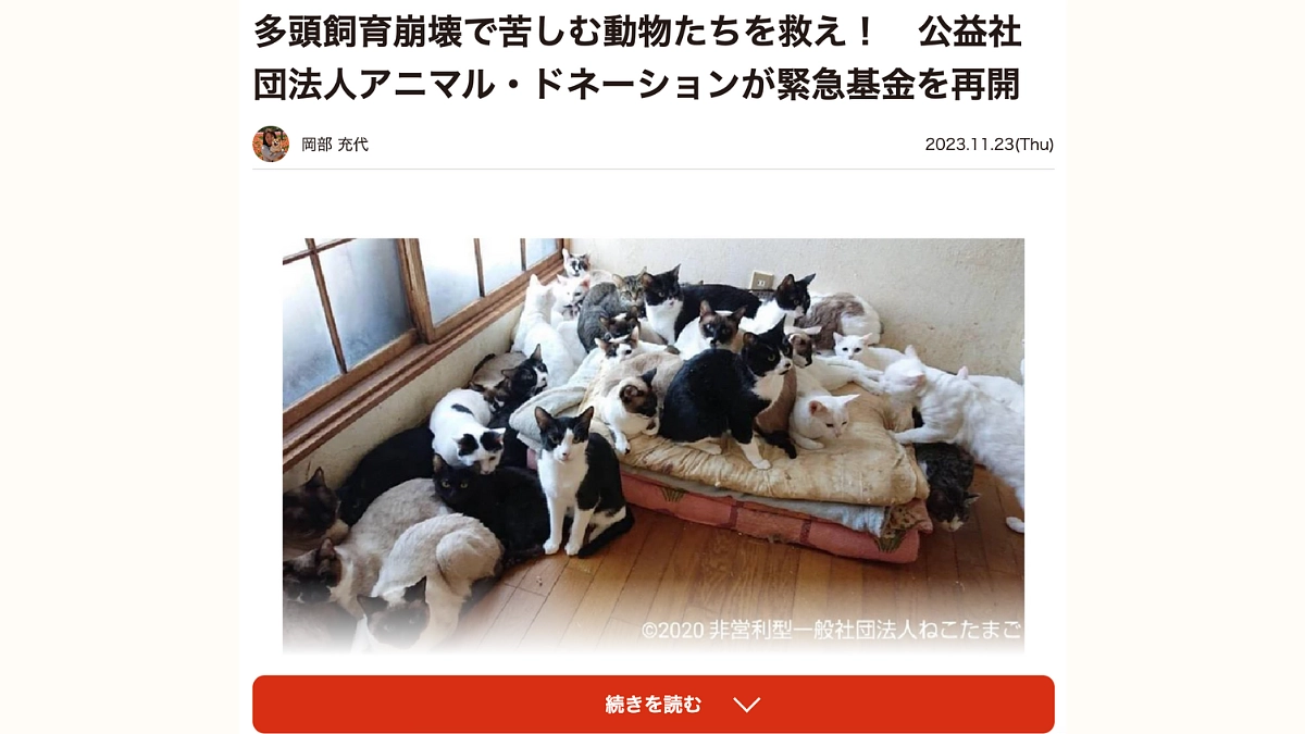 まいどなニュースさんに掲載いただきました！