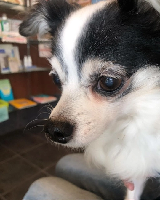 アラン手術まであと5日🫀