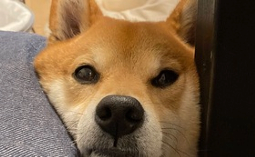 3000円支援コース