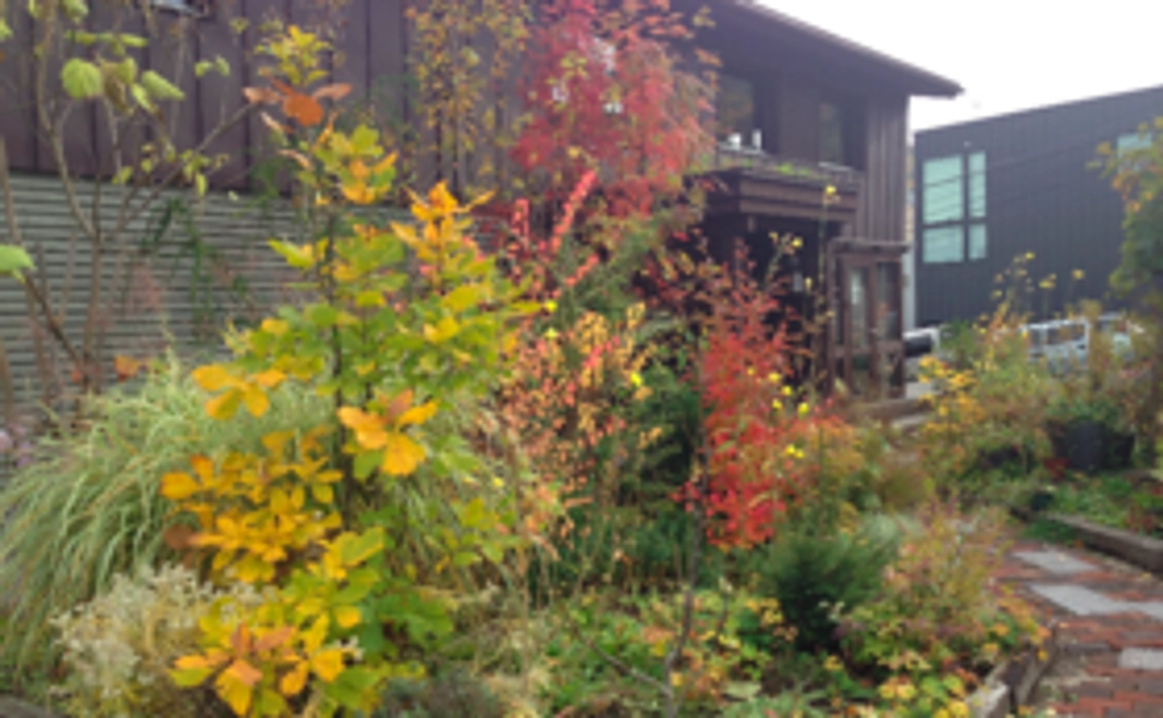 【北海道の四季のお写真と心を込めたお便り】