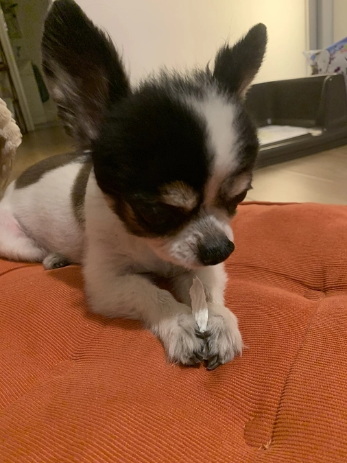 ご支援ありがとうございます🙇🏻‍♀️