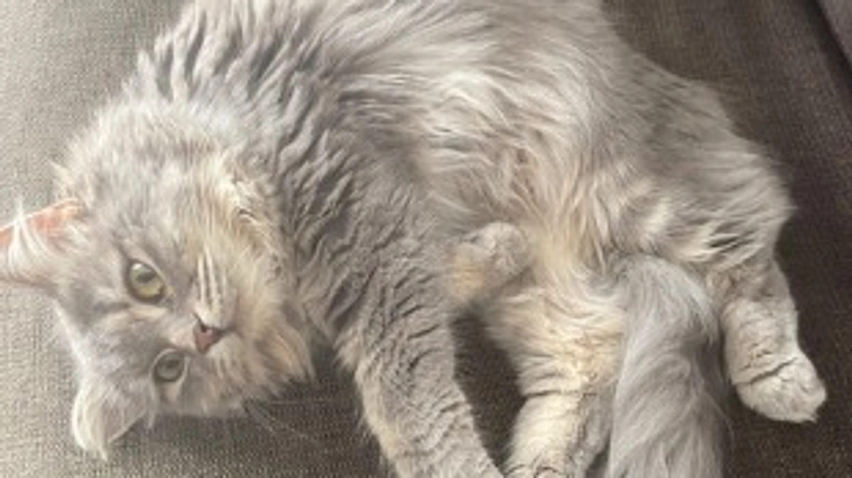 9/22   闘病26日目