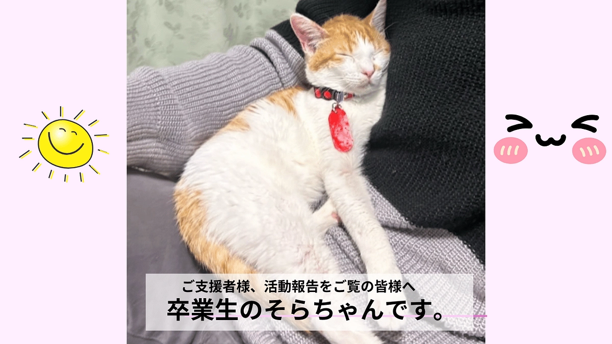 活動報告No.3｜2025/1/12｜卒業生「そら」ちゃんご家族からの素敵なお便り