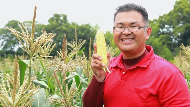 秋トウモロコシで週8時間、年100万稼ぐ農業仲間を増やしたい!