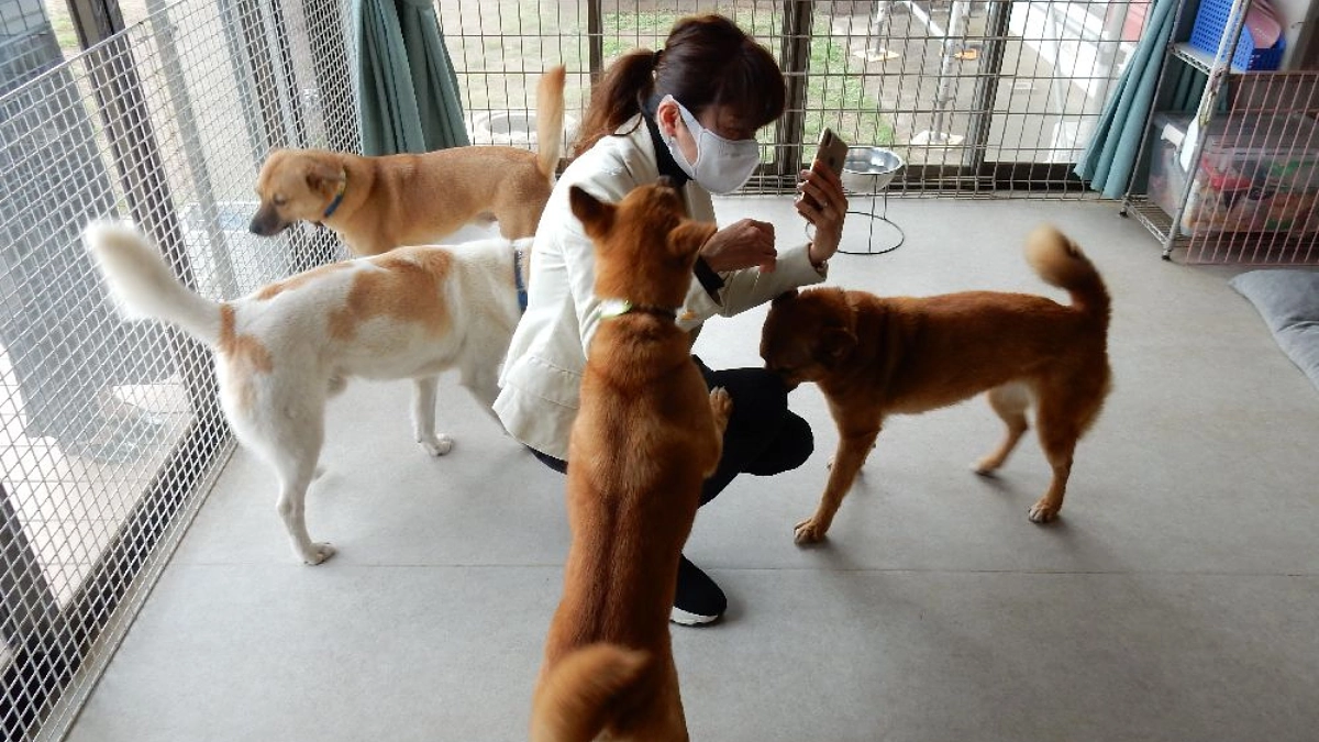 アニドネ代表　西平から大切なお知らせとお願いです。