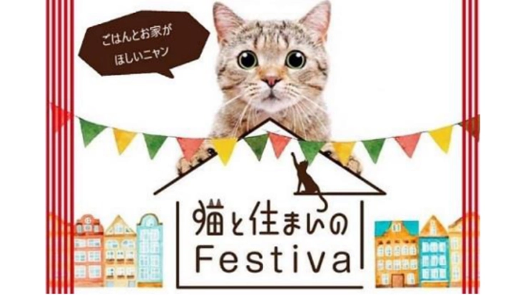 猫と住まいのフェスティバル～ボサノバコンサート付