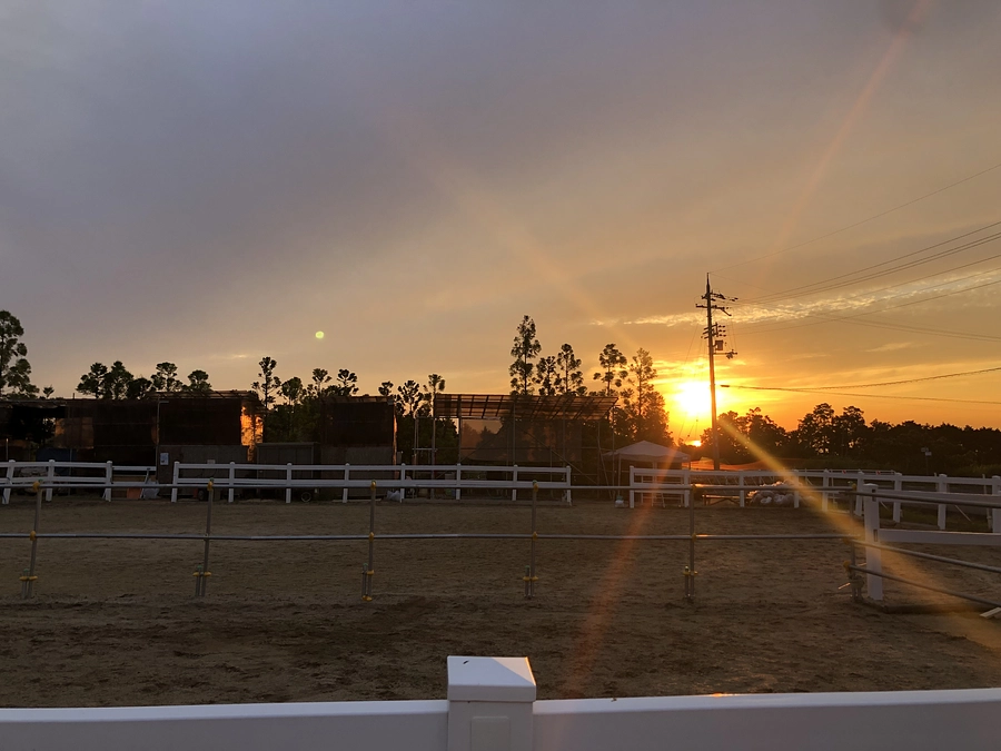 アヴニールファームのフォトヒストリーを御紹介