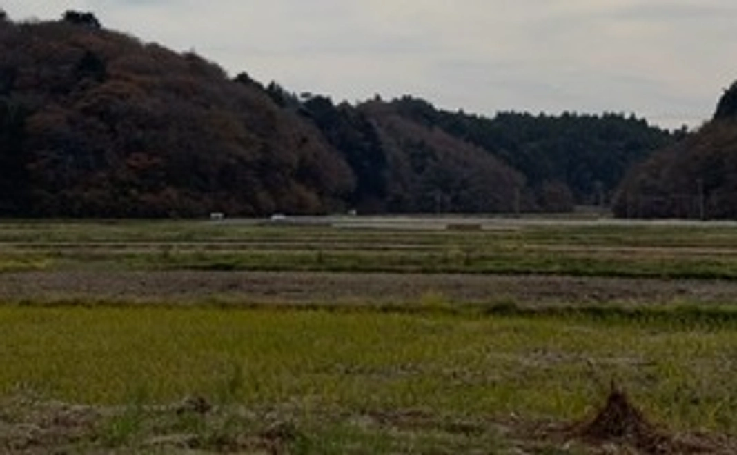 【豪華なリターン品不要な方向け】気軽に応援コース