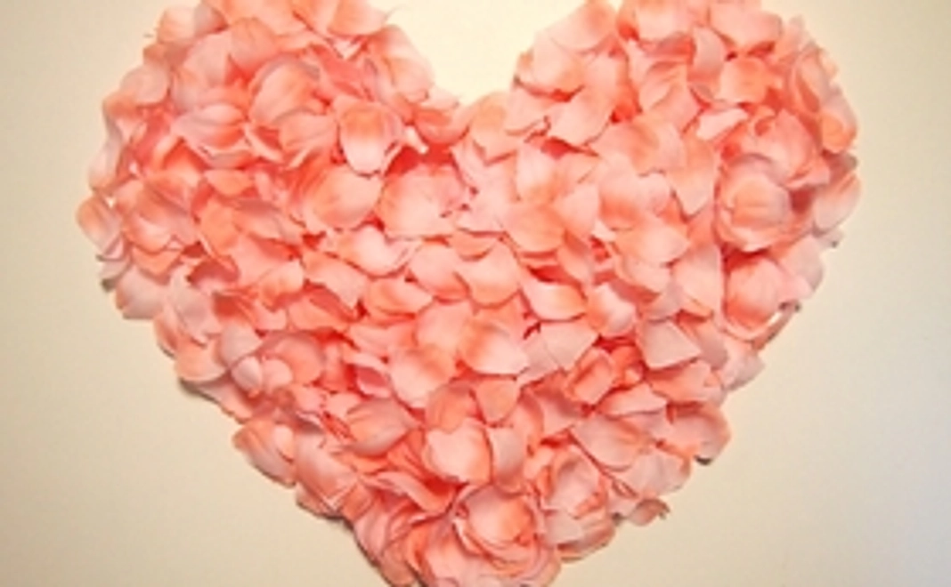 乳酸菌と女性の健康ハンドブック