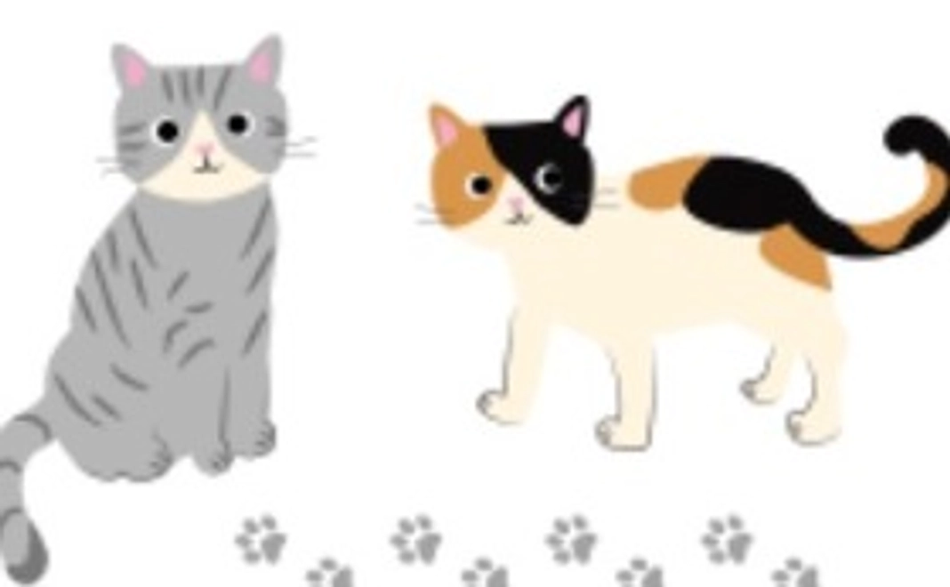 活動報告をメール